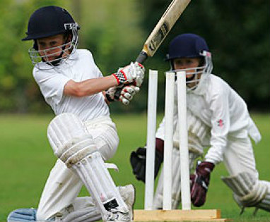 Junior Cricket Bats